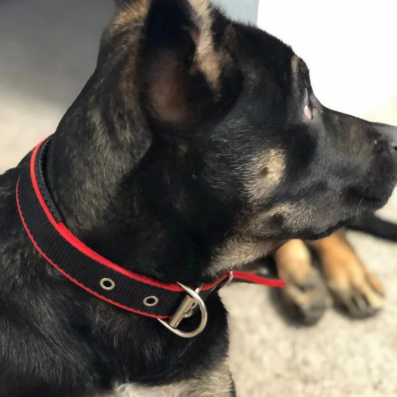 Durable Adjustable Dog Collar - Red/Black for Comfort & Style