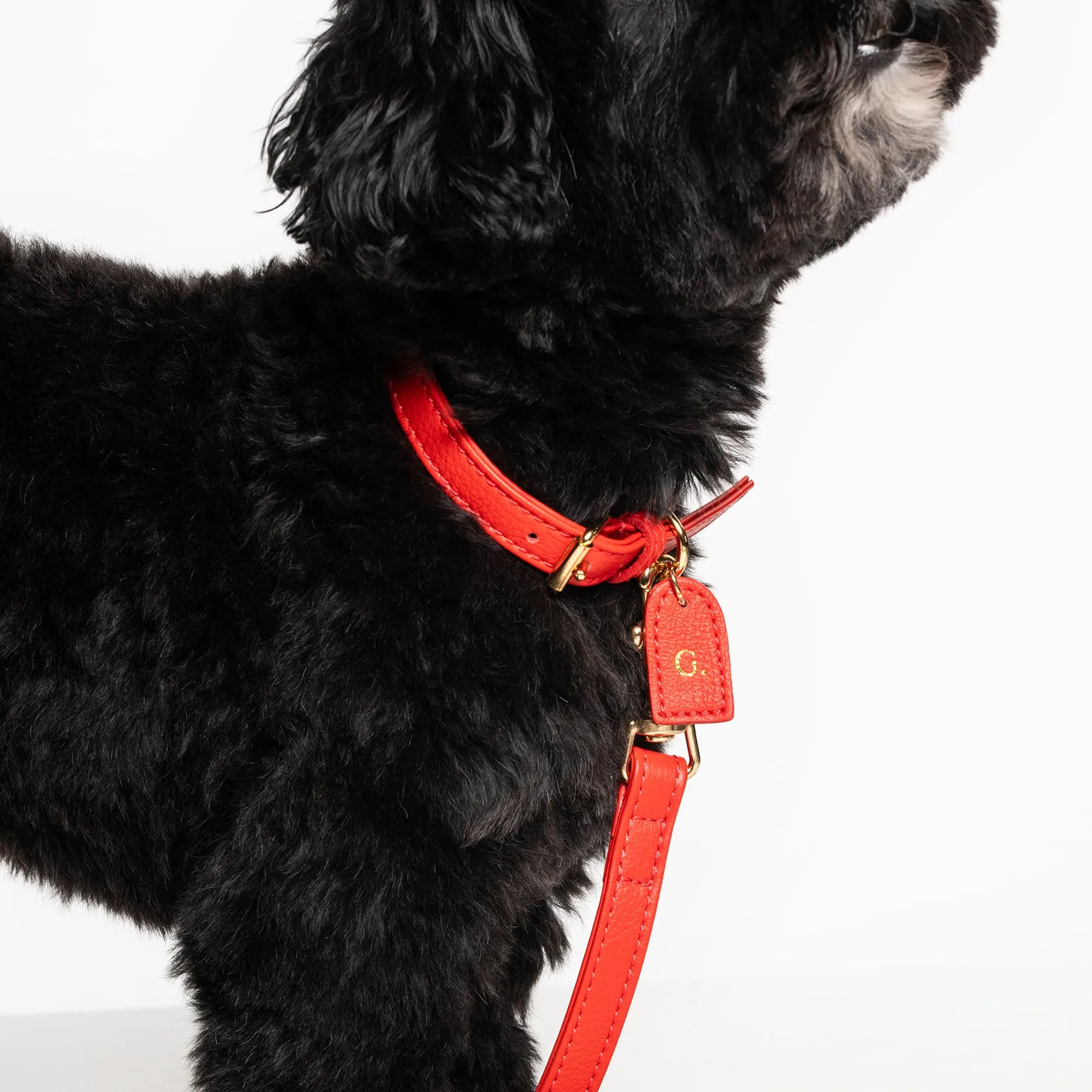 Fiamma collar