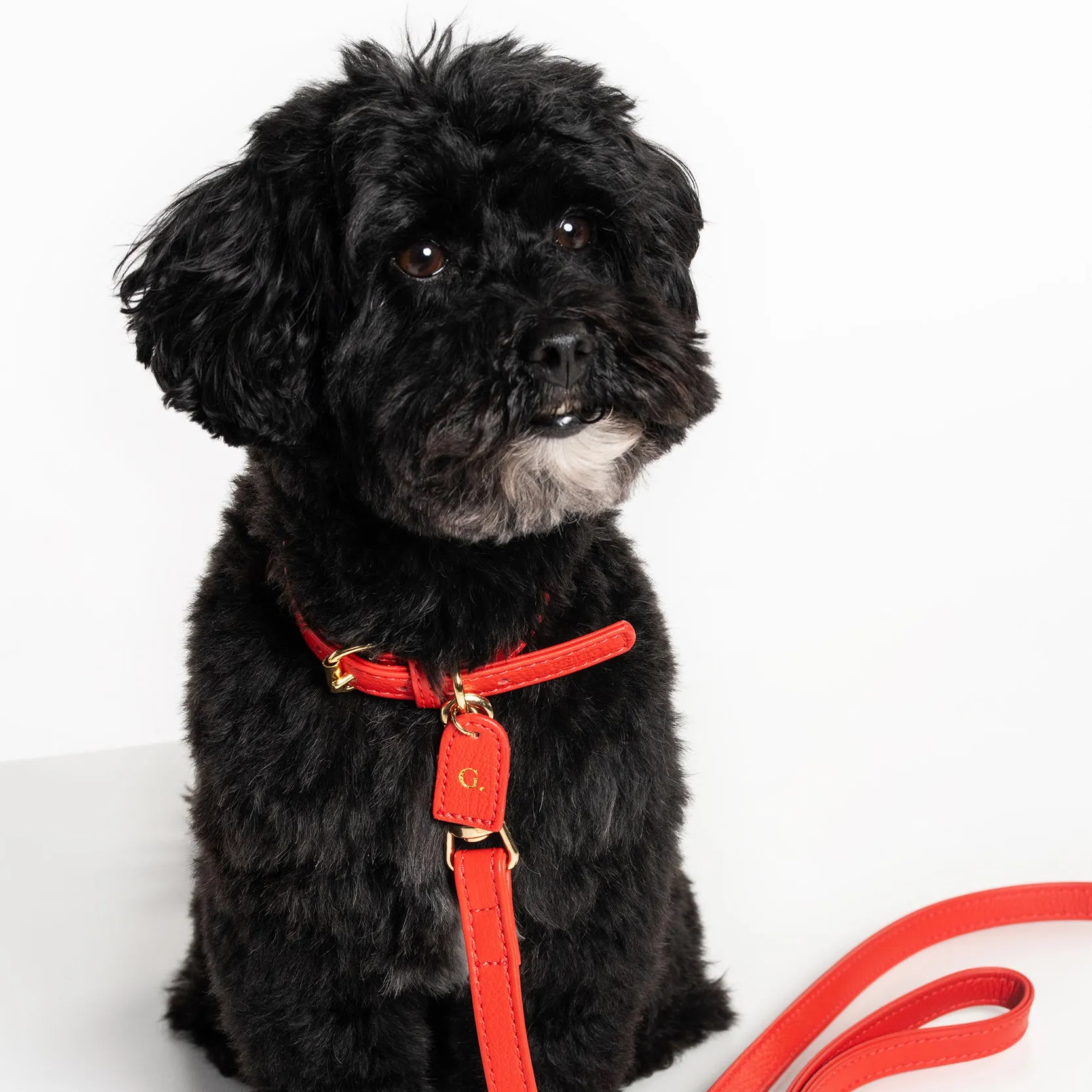 Fiamma collar